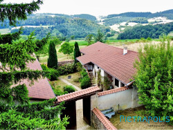 salon-sejour-