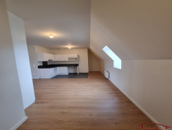 photo6