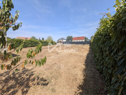 vue-gauche-fonds-terrain-