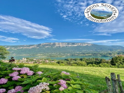 vue-depuis-le-bien-en-ete