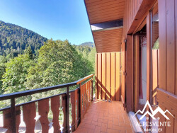 vue-montagne-