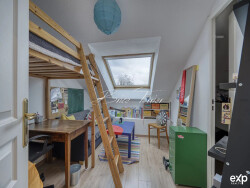 2025-03-12-rumilly-brice-terrier-immo
