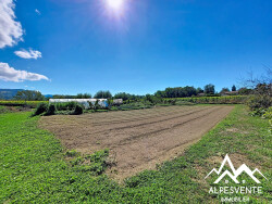 vente-terrain-lot1-allinges-alpesvente