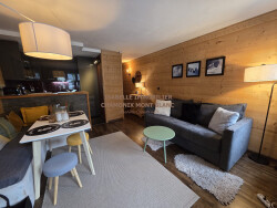 salon---vente-appartement-chamonix