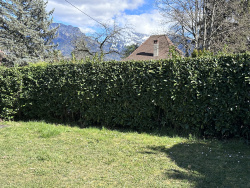 suchet-immobilier