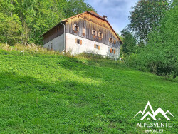 a-vendre-chalet-alpage-habere-lullin