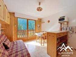 appartement-1-chambre-saint-jean-d-aulps
