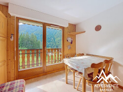 appartement-1-chambre-saint-jean-d-aulps
