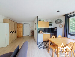 avendre_studio_rocdenfer_alpesvente-