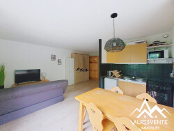 avendre_studio_rocdenfer_alpesvente-