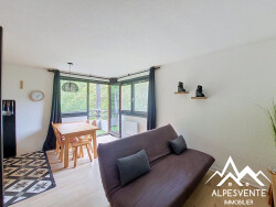 avendre_studio_rocdenfer_alpesvente-