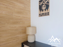 avendre_studio_saintjeandaulps_rocdenfer