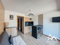 avendre_studio_saintjeandaulps_rocdenfer