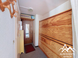 avendre_studio_stjeandaulps_alpesvente