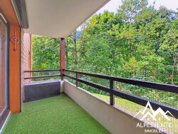 avendre_studio_stjeandaulps_alpesvente