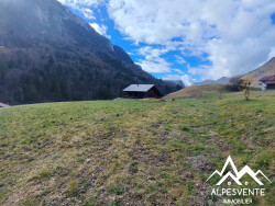 vente-terrain-constructible-bellevaux