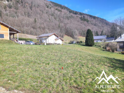 vente-terrain-viabilise-bellevaux