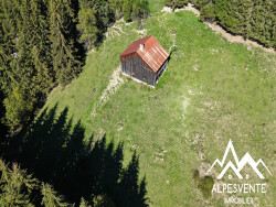 chalet-d-alpage-33910m2-de-terrain