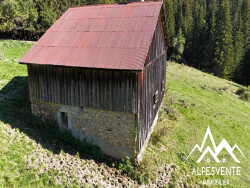 chalet-d-alpage-33910m2-de-terrain