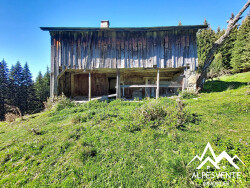 chalet-d-alpage-33910m2-de-terrain