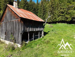 chalet-d-alpage-33910m2-de-terrain