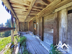 chalet-d-alpage-33910m2-de-terrain