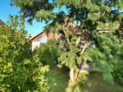 facade-et-terrasse-ouest