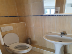 photo8