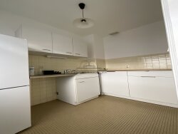 photo6