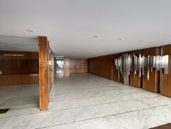 photo7