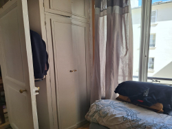 photo9
