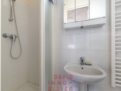photo7