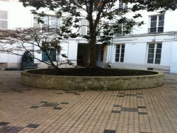 photo3