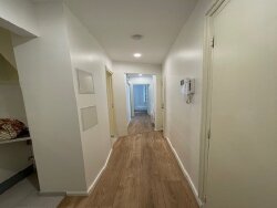 photo8