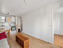 photo11