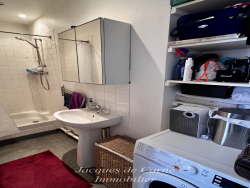 photo11