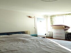 photo14