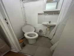 photo8
