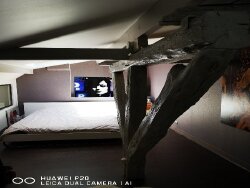 photo8