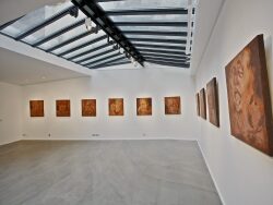 surface-exposition