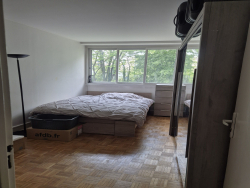photo5