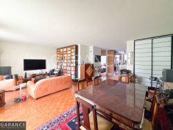 photo6