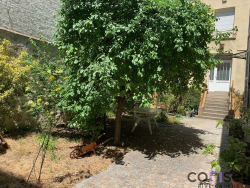 photo21