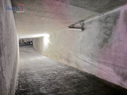 photo3