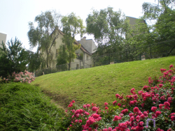 photo4