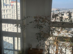 photo6