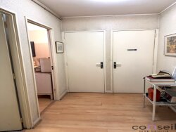 photo7