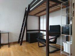 photo7