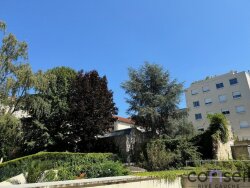 photo8