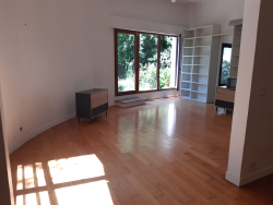 photo11